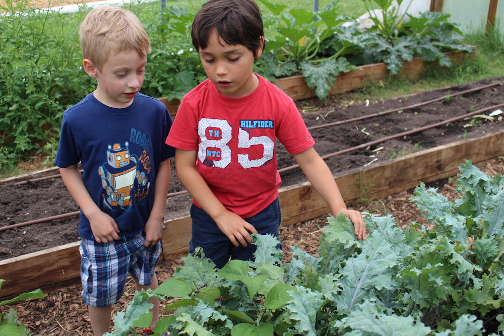 The district’s Farm 2 School program supports community gardens at area schools.